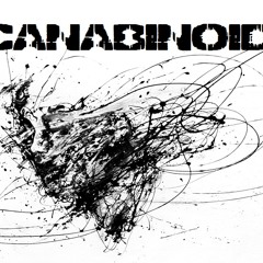 Dr. Z-Vago - My Destiny (Canabinoid 2012 Remix)