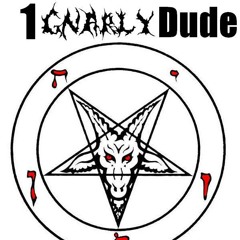 1GnarlyDude