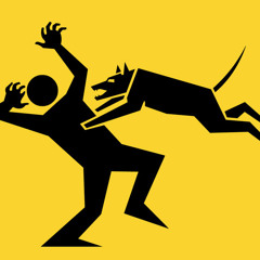 Reza sadeghi - Hich ja bandar nabood