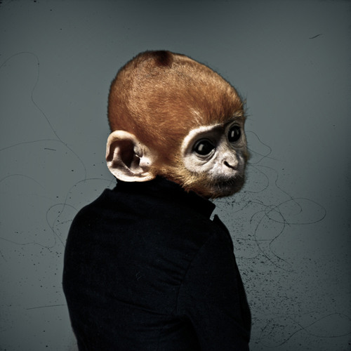 Intergalactic Love Song