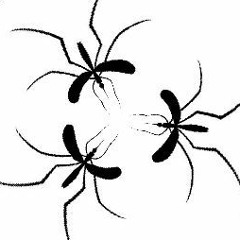 Mosquito Project