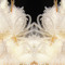 Trichome Tetrahydron