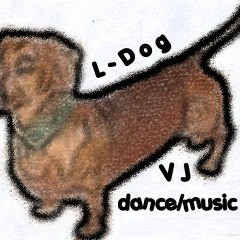 ldog-vj