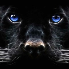 Paul Sebastian Küster