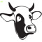 DirtyCow