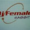 Dj Female Rabbit