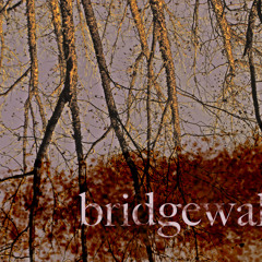 bridgewalk
