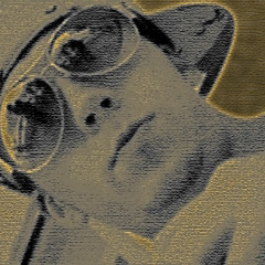ROBMARYLAND