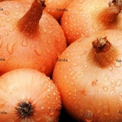 Wet-onions