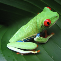 WetzelM