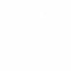 iksan-rocketrockfriends