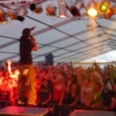 Stevo Star