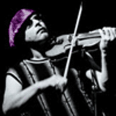 Fiddler Green - Purple Fiddle Mix