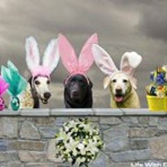 mary-catherine-williams