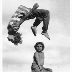 Hayan Skunk Industry