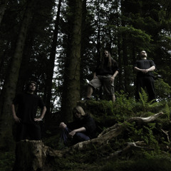 I Viking
