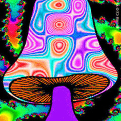 fungusmunguss