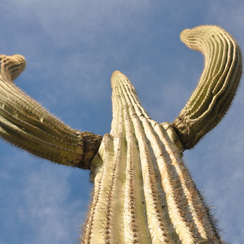 I'm Afraid Of The Future