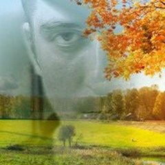 andreas-rainer
