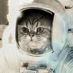 MAGICSPACECAT