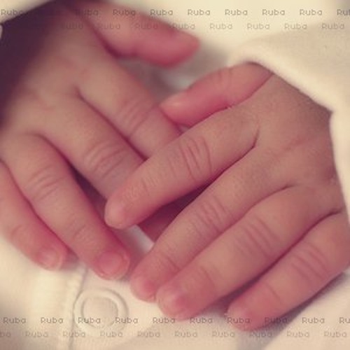 Mawaly omar khairat fatima