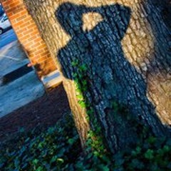 The Bends (Radiohead Cover)