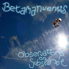BetamanuensiS
