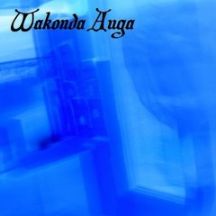 Wakonda Auga