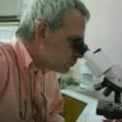 konstantinos-floridis