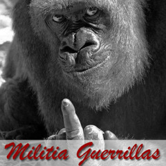 Sometimes Video Version Remixed By Silverback Shabazz Ft Sav Don & Min Louis Farrahkhan