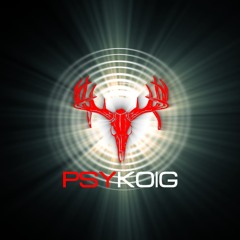 Psykoig
