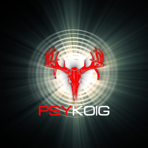 Psykoig — artist photo