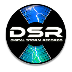 Digital Storm Records