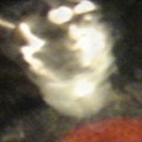 TB Home JerrodDont 20111128