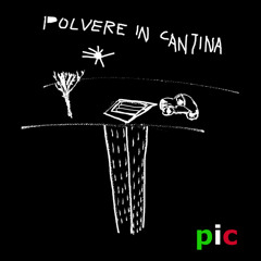 polvere in cantina