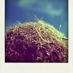 nonquello-quellaltro