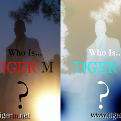 TIGER M Remix 2011