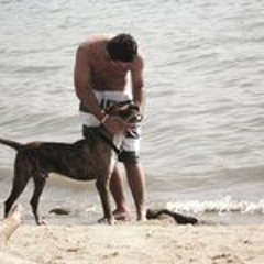 orhan-kemal-co-kunf-rat