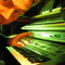 studioliv