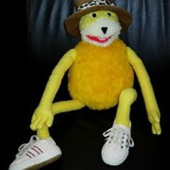 coco-lharicot