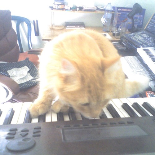These Reigning Days - Living It Up (GuyR Remix)