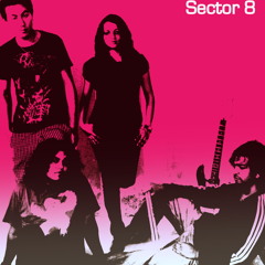 Sector 8