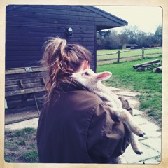 Swansea - Bombay Bicycle Club (cover)