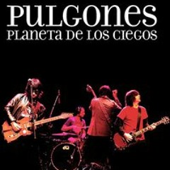 pulgones-rock
