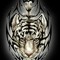 roelof-botha