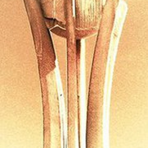 سر الحياة