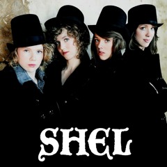 SHEL Sampler
