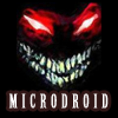Microdroid