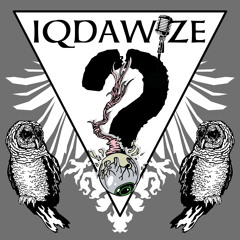 IQDaWize