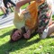 rappe pappe
